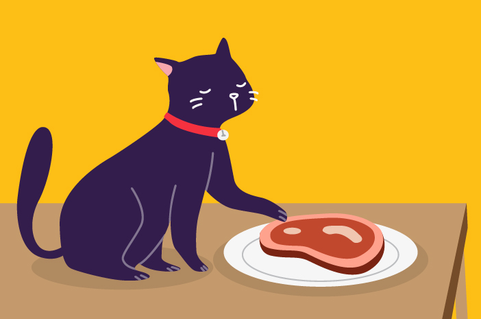 Bolehkah Kucing Makan Daging Mentah?