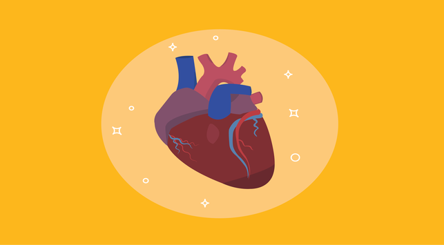 5 Jenis Penyakit Berkaitan dengan Jantung