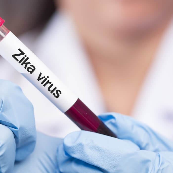 Ketahui bagaimana Virus Zika disebarkan