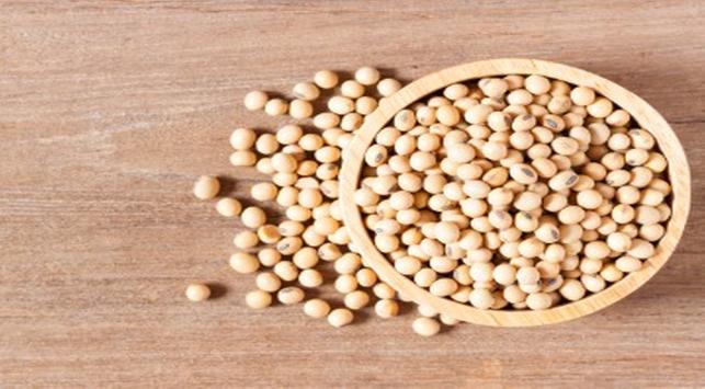 大豆を食べることで体重をコントロールできるというのは本当ですか？